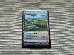1x NM Foil Horizon Canopy Zendikar Expeditions MT Magic the Gathering - Image 1