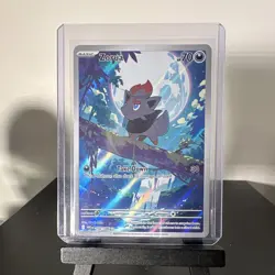 Pokemon Zorua 142/086 Sv: White Flare Illustration Rare Holo Eng - Image 1