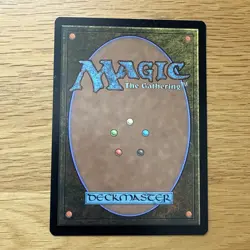 Magic: The Gathering Delighted Halfling Lord of the Rings Card 0158 - Image 2