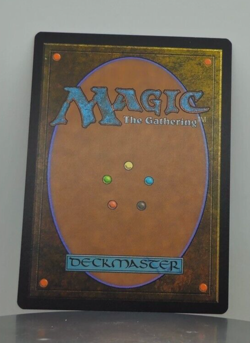 Warden of Evos Isle - Commander Legends - CMR - 106/361 - MTG - Image 2