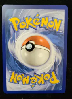 POKEMON JOURNEY TOGETHER N'S ZORUA 189 PROMO TCG HOLO - Image 2