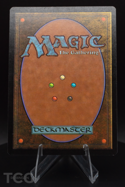 Forest (SIGNED by Rob Alexander) - Mercadian Masques Foil - Magic the Gathering - Image 2