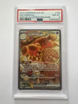 Pokemon TCG Dachsbun EX Special Illustration Rare Stellar Crown 169/142 PSA 8 - Image 1