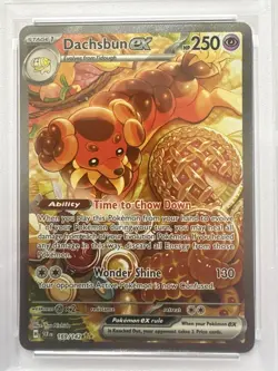 Pokemon TCG Dachsbun EX Special Illustration Rare Stellar Crown 169/142 PSA 8 - Image 2