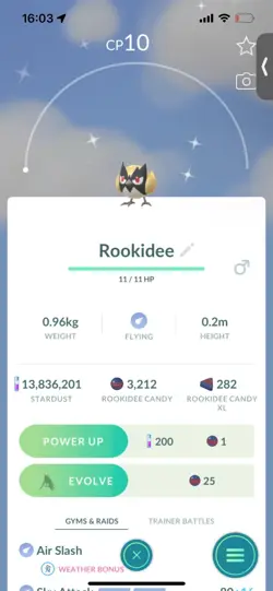 Pokemon Go Shiny Rookidee ( Stage 1 ) - Image 1