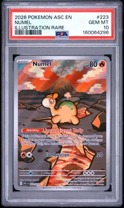 PSA 10 Numel Illustration Rare #223 2026 Pokemon Ascended Heroes - Image 1