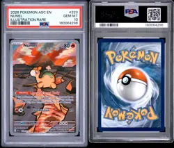 PSA 10 Numel Illustration Rare #223 2026 Pokemon Ascended Heroes - Image 3