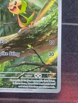 CHESPIN 087/086 HOLO ILLUSTRATION RARE CHAOS RISING POKEMON - Image 5