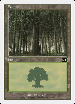 Lot of 20x Forest #349 - 6ED Sixth Edition Basic Land MTG Magic PL - Image 1