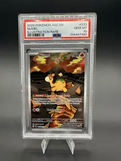 2026 Pokemon Ascended Heroes Numel #223 Illustration Rare IR PSA 10 GEM MINT - Image 1