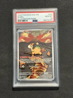 2026 Pokemon Ascended Heroes Numel IR #223 PSA 10 Gem Mint Illustration Rare - Image 1
