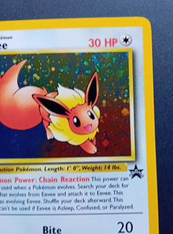 Pokemon Card: Wizards Black Star Promo Holo: Eevee 11 - Image 4