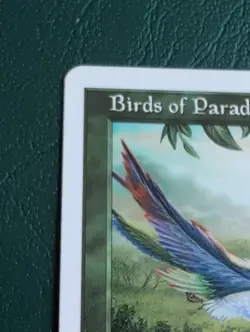 Birds of Paradise 7th Edition Regular - Image 3