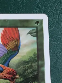 Birds of Paradise 7th Edition Regular - Image 4