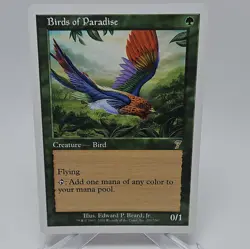 Birds of Paradise 7th Edition Regular - Image 1