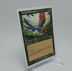 Birds of Paradise 7th Edition Regular - Image 3
