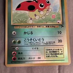 Ledyba Southern Island Regular NM (Japanese) CLEAN PROMO CARD 1996 - Image 2