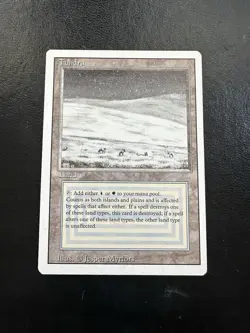 Tundra MTG Revised Edition Rare Land Card Regular Finish English Jesper Myrfors - Image 1