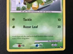 Turtwig 17/17 POP series 6 Pokemon non-holo rare card MP - Image 5