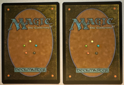 MTG / Forest / LTR / #721, 722 / SURGE FOIL / Land / NM - Image 2