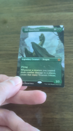 Old Gnawbone (Borderless) 296 - MTG Adventures in the Forgotten Realms Foil NM - Image 2