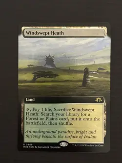 Magic The Gathering Windswept Heath Extended Art Foil Modern Horizons 3 - Image 1