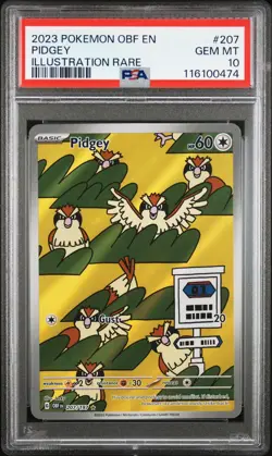 2023 POKEMON OBF EN-OBSIDIAN FLAMES ILLUSTRATION RARE #207 PIDGEY PSA 10 - Image 1
