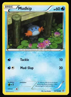 Mudkip 33 160 C Primal Clash Pokemon Lightly Played - Image 1