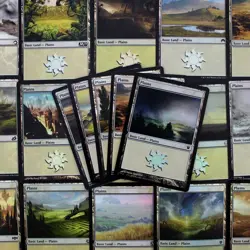 25 Plains MTG Basic Land Pack Near Mint DECKBUILDING Magic: The Gathering - Image 1