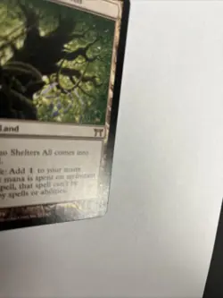 Boseiju Who Shelters All Nonfoil Card #273 MTG MP - Image 2