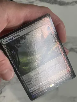 Canopy Vista Zendikar Expedition Foil BFZ NM Pack Fresh MTG - Image 3