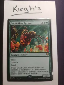 Mtg Sweet-Gum Recluse - Image 1