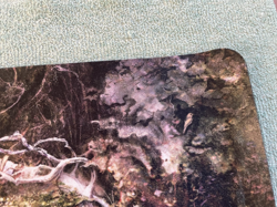 SEB MCKINNON Kinship Playmat Signed Numbered LOW NUMBER MTG Tucker Hamm Vest - Image 4
