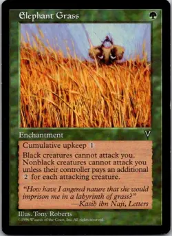Visions Elephant Grass - Image 1