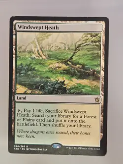 *Windswept Heath - Khans of Tarkir (KTK) - MTG Land Rare - 248/269 - Image 1