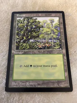 MTG Forest 1 - 1997 Oversized Arena 6X9 Promo Card Vintage Rare - Image 1