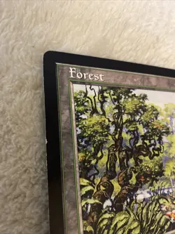 MTG Forest 1 - 1997 Oversized Arena 6X9 Promo Card Vintage Rare - Image 4