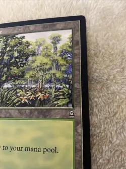 MTG Forest 1 - 1997 Oversized Arena 6X9 Promo Card Vintage Rare - Image 5