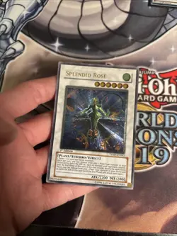 (MC) Yugioh Splendid Rose 1st Edition Ultimate Rare TSHD-EN043 VLP - Image 5