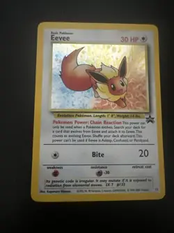 Eevee L V 7 133 Promo Holo Pokemon Card Jr Rally Black Star - Image 3