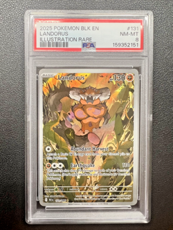 2025 POKEMON BLK EN-BLACK BOLT ILLUSTRATION RARE #131 LANDORUS PSA 8 - Image 1
