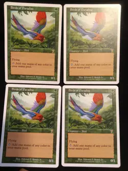 Birds of Paradise 7th Edition Regular NM (x4) - Image 1