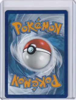 Pidgeot ex - 164/197 Play! series Stamped Promo Pokemon Card Prize Pack 4 NM OBF - Image 2