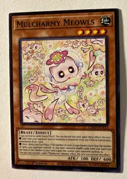 Mulcharmy Meowls 1st Edition Common L26D-ENX13 Yu-Gi-Oh! - Image 1