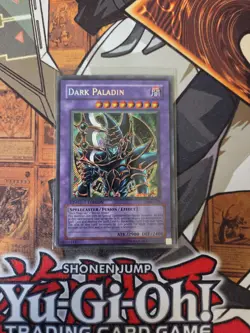 YUGIOH DARK PALADIN DMG-001 SECRET LIMITED ED NM HOLO BLEED - Image 1