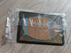 MTG Festival In a Box: Atlanta 2025 Promo Pack (4 cards) SEALED - Image 3