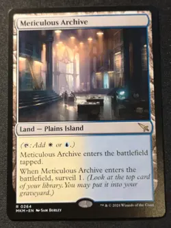 Meticulous Archive - MKM - MTG - NM - EN - 0264 - Image 1
