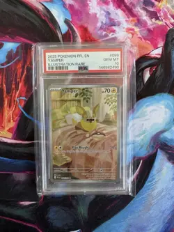 PSA 10 2025 POKEMON PFL EN-PHANTASMAL FLAMES #099 YAMPER ILLUSTRATION RARE - Image 1