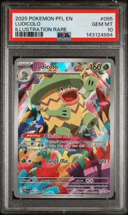 PSA 10 - Ludicolo - 095/094 - Illustration Rare -Phantasmal Flames - Pokemon TCG - Image 1