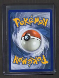 Dewgong 097/094 Illustration Rare - Phantasmal Flames - Pokemon TCG - Image 2